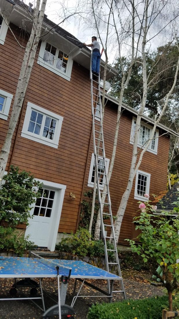 Ladder reaching the upper windows of a shingled home among trees